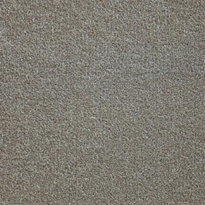 Allied Baltimore Shoreline